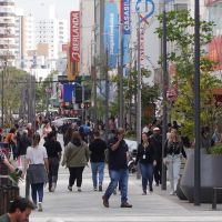 Itajaí amplia diversificação e fortalece economia