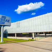 Marca Sebrae bate recorde de valorização em 2025