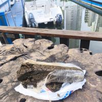 Tripulantes encontram maconha boiando no rio Camboriú