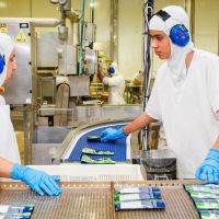 Nauterra tem feirão de empregos com 200 vagas