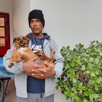 Doguinho resgatado em mutirão de limpeza foge do canil municipal de Itajaí