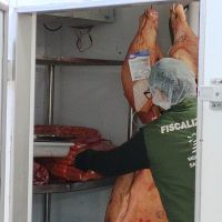 Força-tarefa apreende mais de 600 kg de carne vencida em Itapema