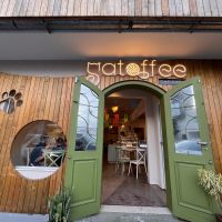 Gatoffee Cat Café: onde o café tem bigodes e o coração transborda afeto