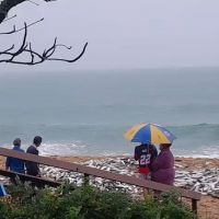 miniatura galeria