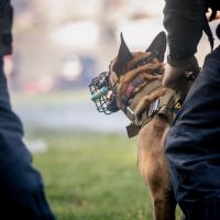 Promorar tinha olheiro do tráfico para avisar chegada da polícia