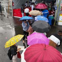 miniatura galeria