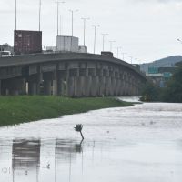 Obra que desvia águas do rio em enchentes e cria “ilha” em Navegantes volta a ser discutida