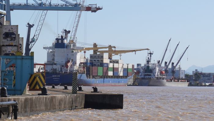 Exportações retomam após fim de emergência sanitária por foco de gripe aviária no RS (Foto: Divulgação)