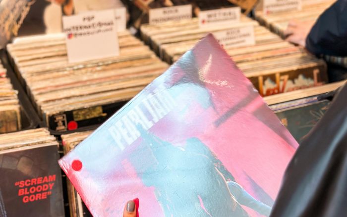 Feira reúne expositores de SC e RS com raridades, clássicos e relíquias musicais em vinil no Piso L3 do Itajaí Shopping (Foto: Divulgação)