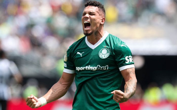 Paulinho marcou o gol da classificação do Verdão (Foto: Cesar Greco/Palmeiras)