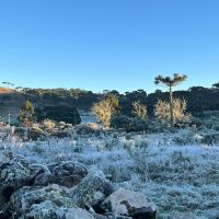 Julho começou com mínimas de 0°C em Santa Catarina