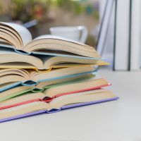 “Via Poesia” estreia em Itajaí com programação gratuita