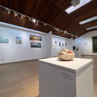 Arte para sentir: um passeio pela nova exposição da Galeria de Arte Univali