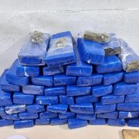 Mais de 40 quilos de maconha estavam escondidos em guarda-roupa de casa