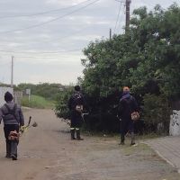 Servidores da prefeitura deixam árvore no cepo e moradora fica indignada