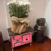 miniatura galeria