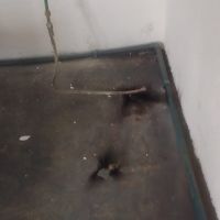 miniatura galeria