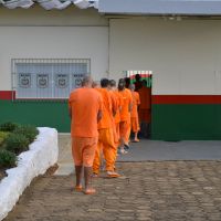 Mutirão da justiça revê 10 mil prisões em flagrante por maconha em SC
