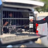 Líderes do tráfico no Matadouro são presos em operação da Polícia Civil