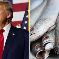Presidente do Sindipi diz que tarifaço de Trump “caiu como um tiro" na economia pesqueira de SC