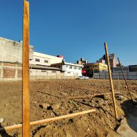 miniatura galeria