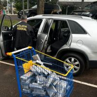 Polícia Federal faz prisão em Itapema