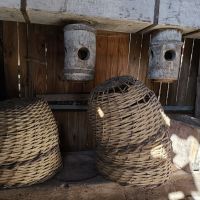 miniatura galeria