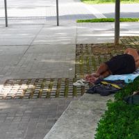 miniatura galeria