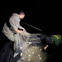 Morador flagra rede de pesca onde tartaruga foi solta em Bombinhas