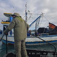 miniatura galeria