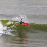 O que você acha do cancelamento do Molhes in Vibe?