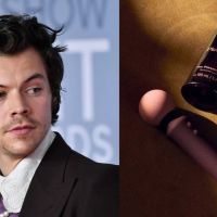 Harry Styles aposta no mundo erótico e lança vibrador e lubrificante