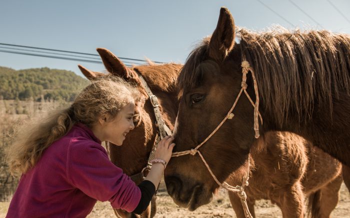 Sessões com cavalos ajudam no equilíbrio, fala, autoestima e socialização de crianças com necessidades especiais (Foto: Divulgação)