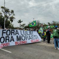 miniatura galeria