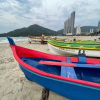 Safra da tainha termina com mais 2,5 mil toneladas capturadas em SC
