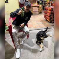 Conheça a história de Bastião, cachorro de Itapema que viralizou após ser flagrado curtindo boteco