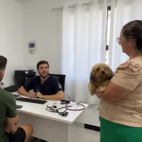 Prefeitura de Navegantes abre inscrições para castração gratuita neste sábado