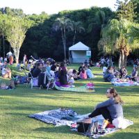 De contação de histórias a pintura em tela ao vivo: saiba como será a “Sexta-feira cultural” no Parque Raimundo Malta