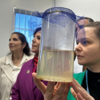 Mosquitos que “combatem” a dengue serão soltos em BC na próxima semana