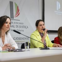 Medidas protetivas aumentam 53% no litoral norte de SC