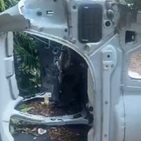 Carros furtados aparecem depenados em matagal
