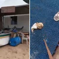 Contêiner instalado em área de preservação vira point para orgias