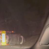 Cegonheira cheia de carros tomba às margens da BR 101