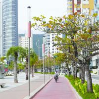 Nova orla da praia Central terá o dobro de arborização