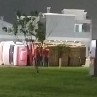 miniatura galeria