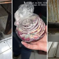 Vigilância Sanitária fecha restaurante com cozinha imunda em Itajaí