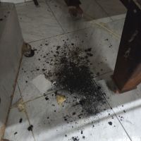 miniatura galeria