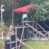 miniatura galeria