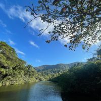 Justiça declara inconstitucional artigo do Código Ambiental de SC