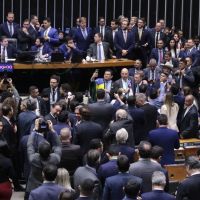 Qual sua opinião sobre a PEC da Blindagem?